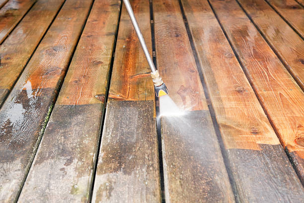 Best Animal Enclosure Cleaning  in Bemidji, MN
